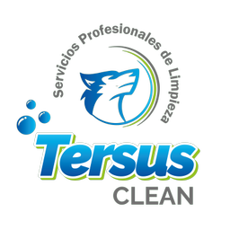 Tersus Clean