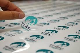 Vinil transparente con suaje