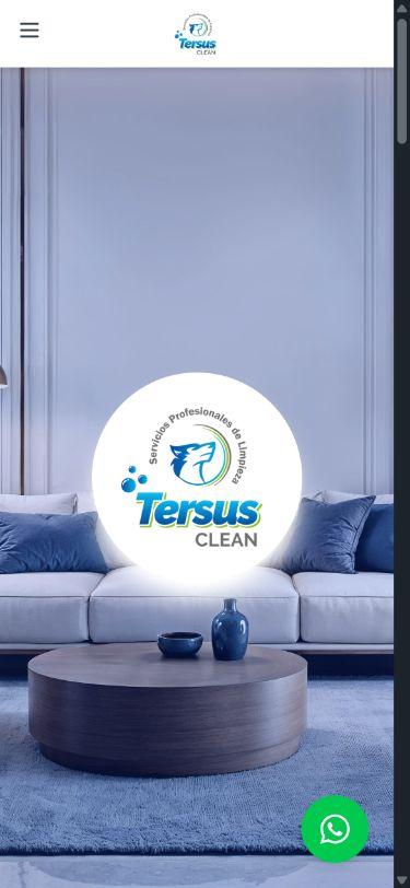 Tersus Clean en celular