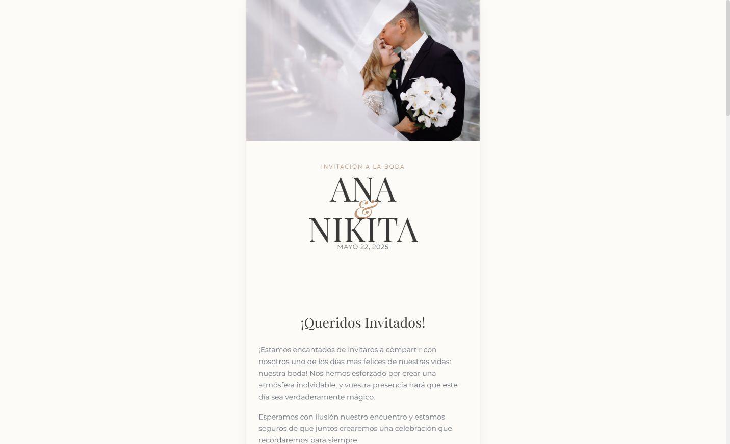 Plantilla Ana en computadora