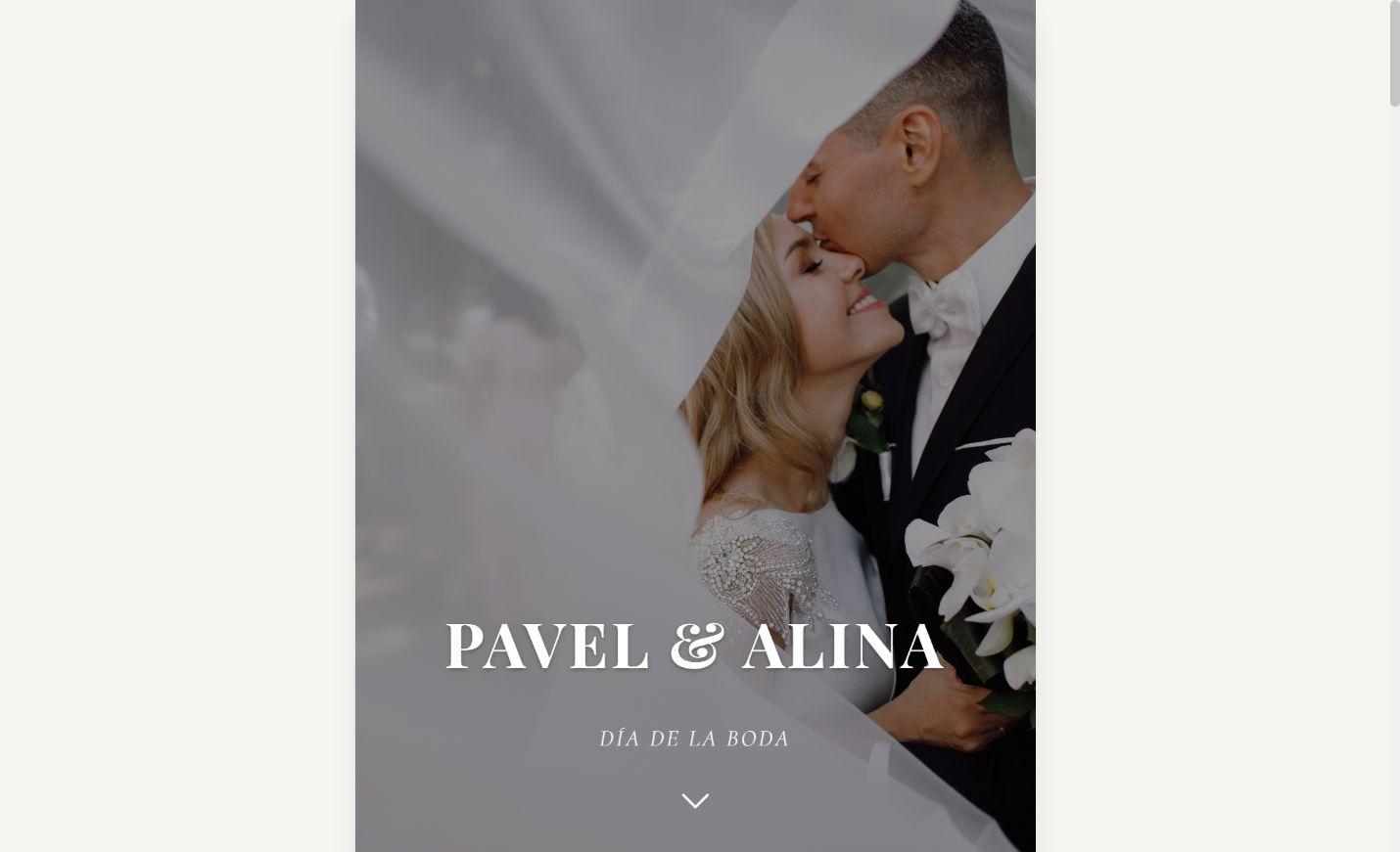 Plantilla Pavel & Alina en computadora
